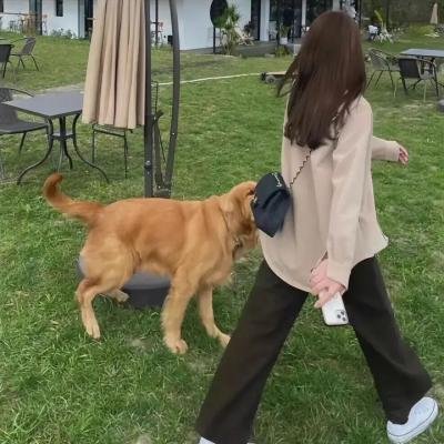 爱出色